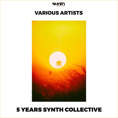 VA - 5 Years Synth Collective [SYC135]